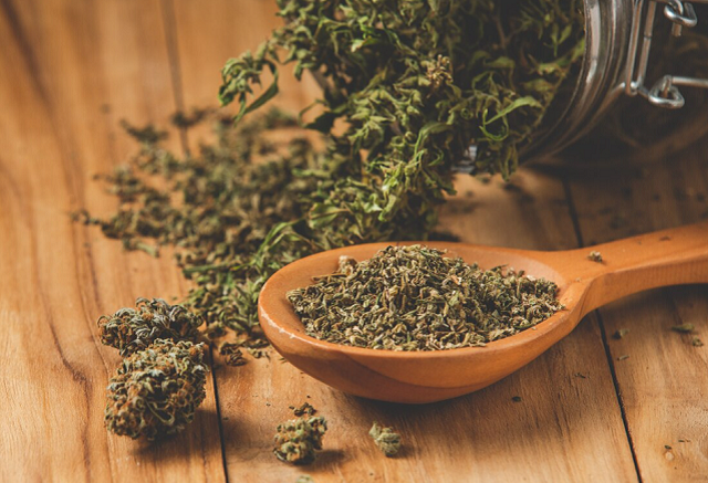 obrázek kratomu